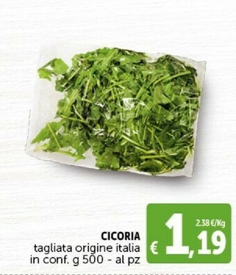 Deco Supermercati Cicoria offerta