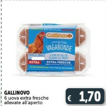 Deco Supermercati Uova offerta