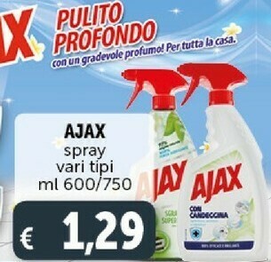 Deco Supermercati Sgrassatore offerta