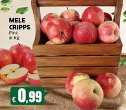 Sigma MELE CRIPPS Pink offerta