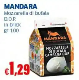 Sigma MANDARA Mozzarella di bufala D.O.P. in brick offerta