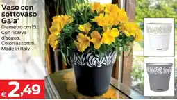 Prix Quality Vaso con sottovaso Gaia offerta