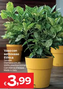 Prix Quality Vaso con sottovaso Ethica offerta