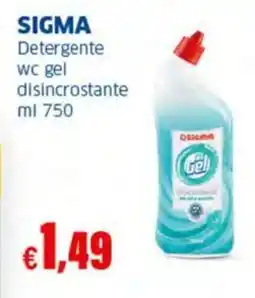 Sigma SIGMA Detergente wc gel disincrostante offerta
