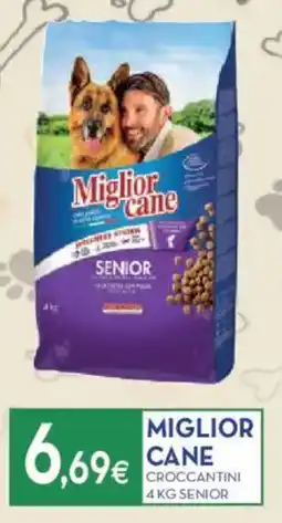 Proshop Miglior cane croccantini senior offerta