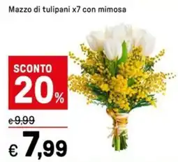 Iper La Grande Mazzo di tulipani x7 con mimosa offerta