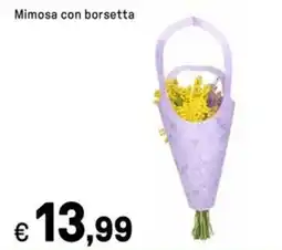 Iper La Grande Mimosa con borsetta offerta