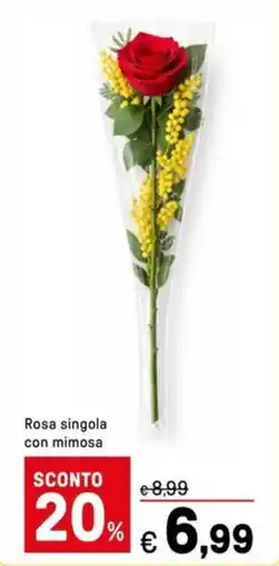 Iper La Grande Rosa singola con mimosa offerta