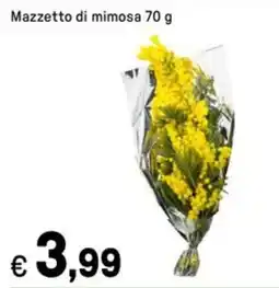 Iper La Grande Mazzetto di mimosa offerta
