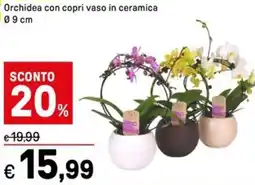 Iper La Grande Orchidea con copri vaso in ceramica offerta