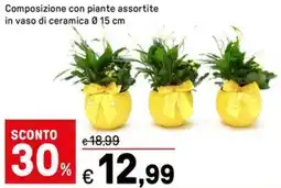 Iper La Grande Composizione con piante assortite in vaso di ceramica 0.15 cm offerta