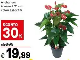 Iper La Grande Anthurium in vaso 0.21 cm offerta