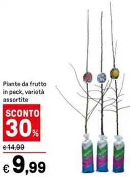 Iper La Grande Piante da frutto in pack offerta