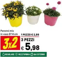 Iper La Grande Perenni mix in vaso 014 cm offerta