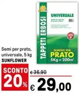 Iper La Grande Semi per prato, universale SUNFLOWER offerta