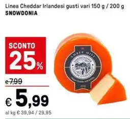 Iper La Grande Linea Cheddar Irlandesi SNOWDONIA offerta