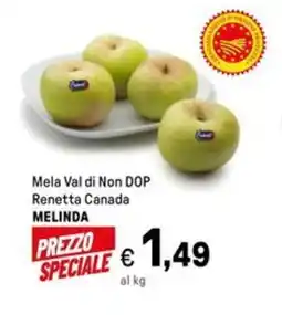 Iper La Grande Mela Val di Non DOP Renetta Canada MELINDA offerta