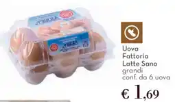 Conad Uova Fattoria Latte Sano offerta
