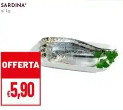 Pan Sardina offerta