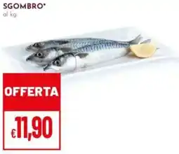 Pan Sgombro offerta