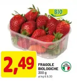 DPiù Fragole biologiche offerta