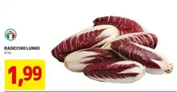 DPiù Radicchio lungo offerta