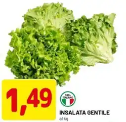 DPiù Insalata gentile offerta