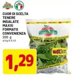 DPiù Cuor di scelta tenere insalate maxxi formato convenienza offerta
