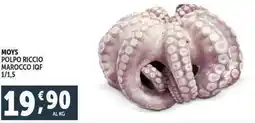 Deco Supermercati Moys polpo riccio marocco IQF 1/1,5 offerta