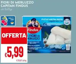 Pan Fiori di merluzzo CAPITAN FINDUS x4 offerta