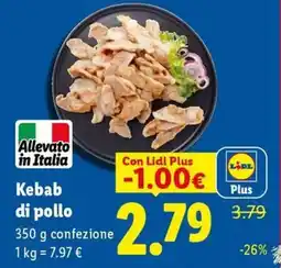 Expert Kebab di pollo offerta