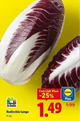 Expert Radicchio lungo offerta