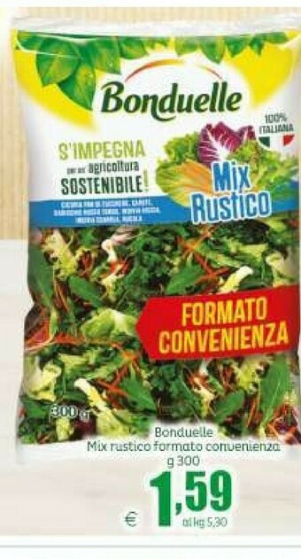 Elite Insalata offerta