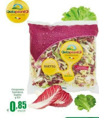 Elite Insalata offerta