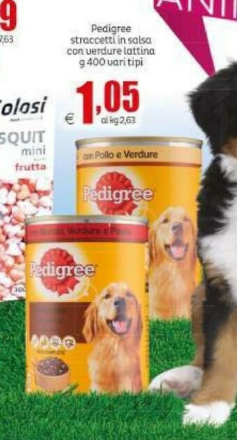 Elite Cibo per cani offerta
