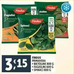 Deco Supermercati Findus primavera bietoline offerta
