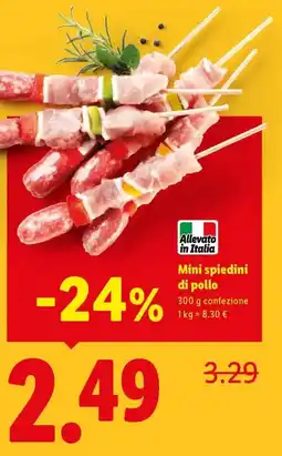 Expert Mini spiedini di pollo offerta