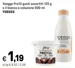 Iper La Grande Yoeggs Pro13 o il bianco a colazione YOEGGS offerta
