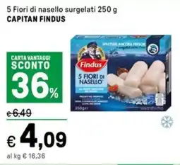 Iper La Grande 5 Fiori di nasello surgelati CAPITAN FINDUS offerta