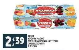 Deco Supermercati Yogurt magro zero grassi senza lattosio offerta