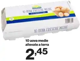 In'S Mercato 10 uova medie allevate a terra offerta