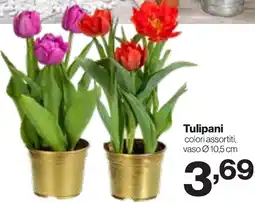 In'S Mercato Tulipani offerta
