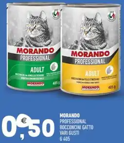 Ayoka Morando professional bocconcini gatto offerta