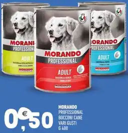 Ayoka Morando professional bocconi cane offerta