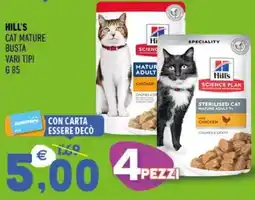 Ayoka Hill's cat mature busta offerta