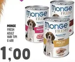 Ayoka Monge fresh adult offerta