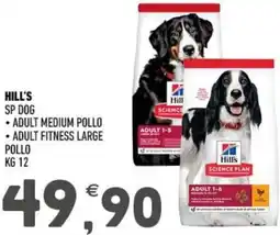 Ayoka Hill's sp dog offerta