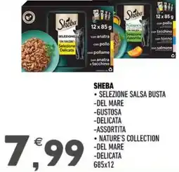 Ayoka Sheba offerta
