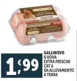 Deco Supermercati Gallinovo 6 uova extra fresche cata da allevamento a terra offerta