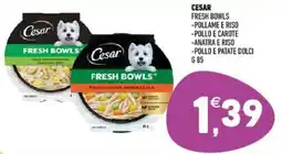 Ayoka Cesar fresh bowls offerta